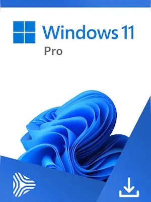 Microsoft Windows 11 Pro OEM product artwork